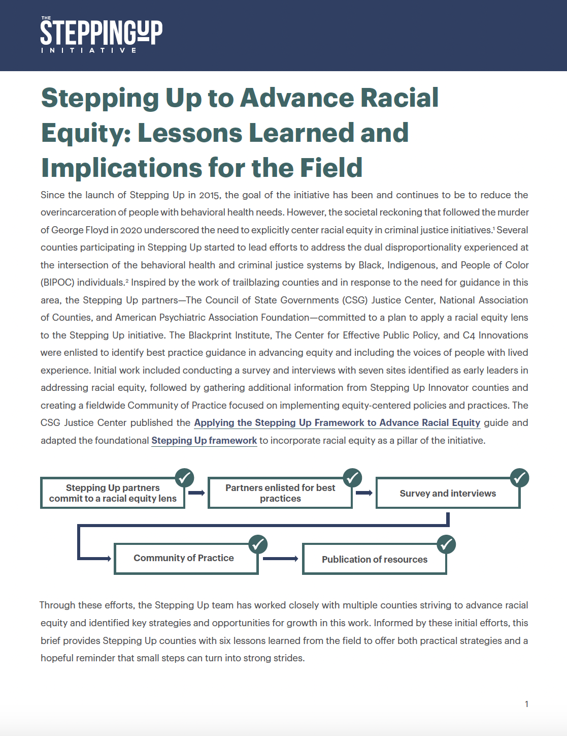 Image for Stepping Up to Advance Racial Equity: Lessons Learned and Implications for the Field